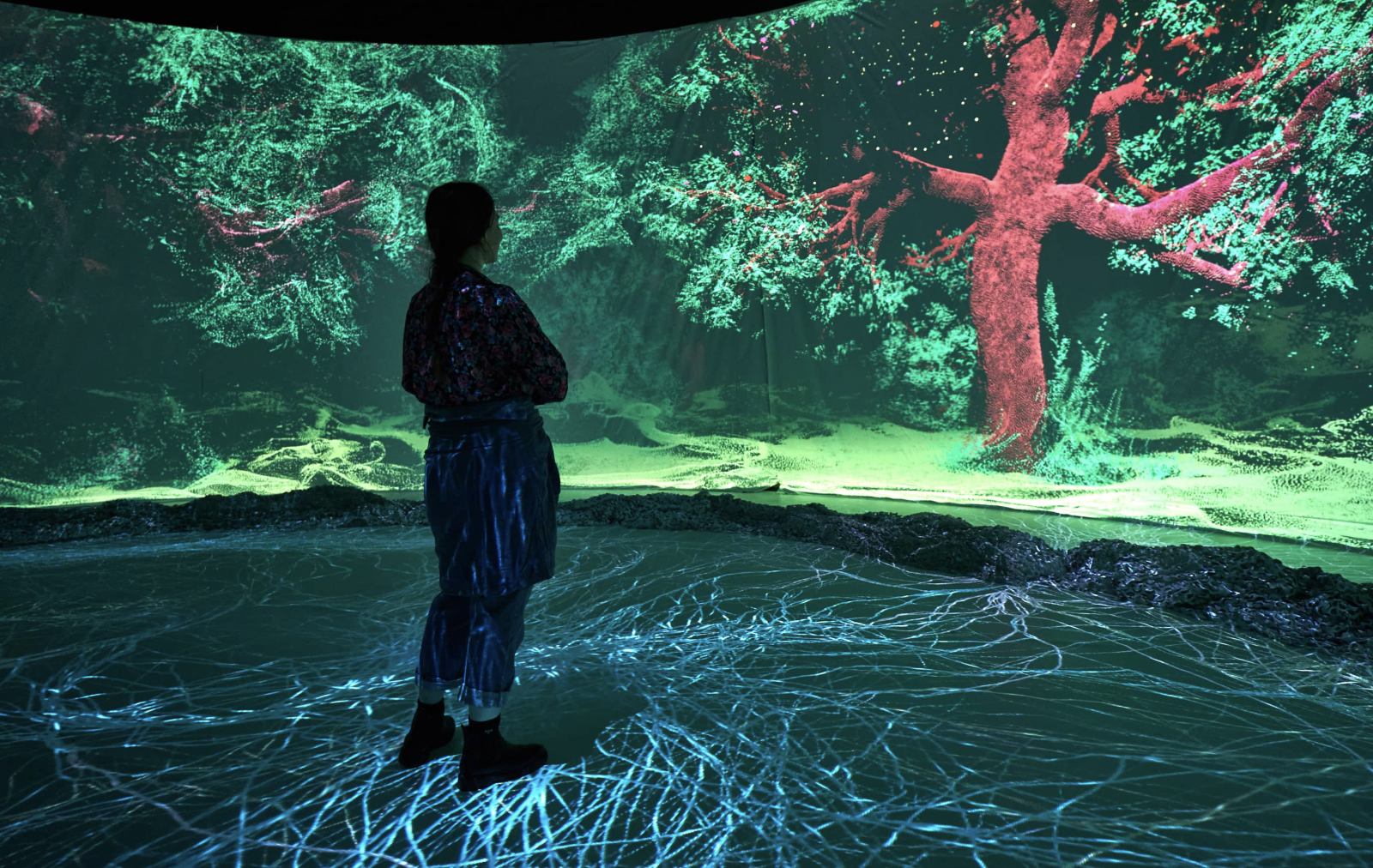Mostra Vivacidade - Evento imersivo